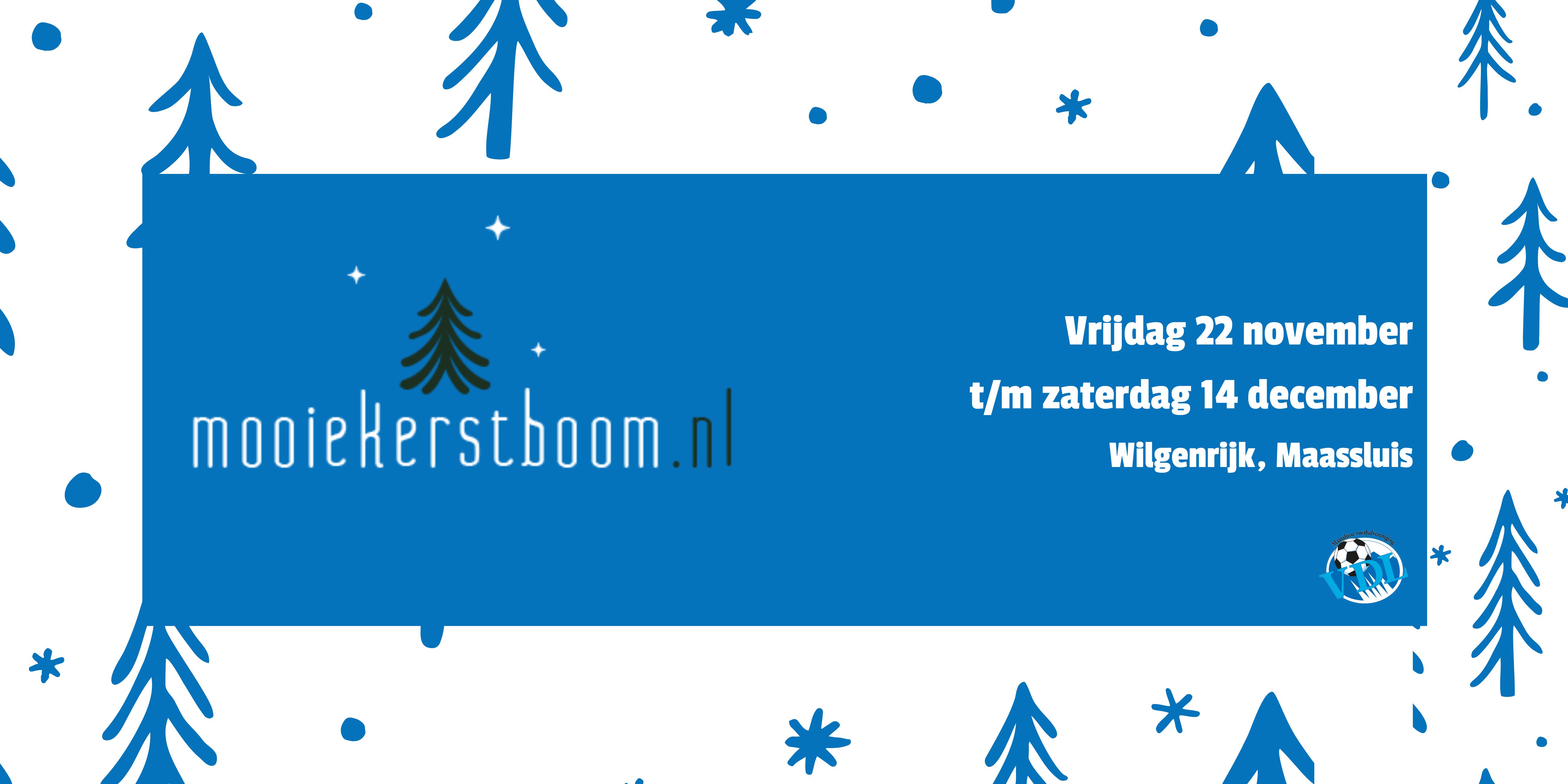 Koop dit jaar jouw boom weer bij Mooiekerstboom.nl!